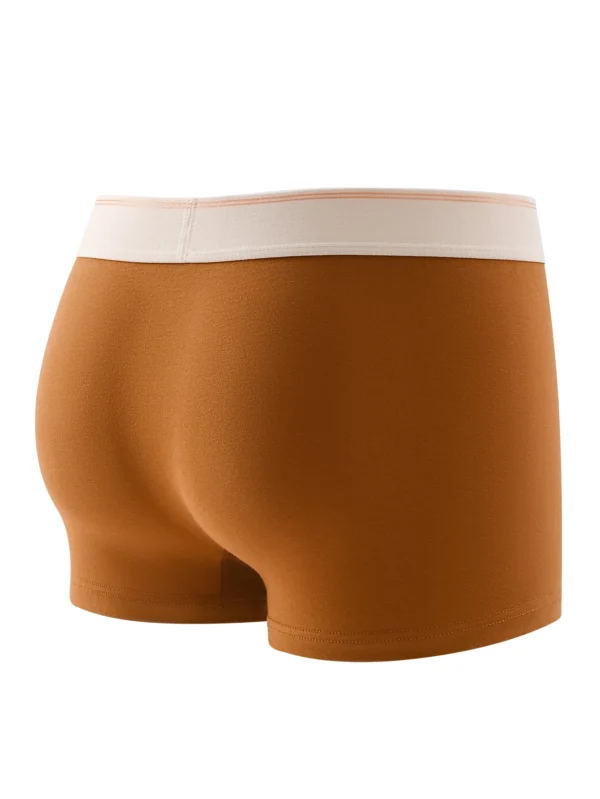 Men's 4-piece underwear, cotton soft and comfortable casual daily boxer briefs, solid color trendy personality shorts - Image 2